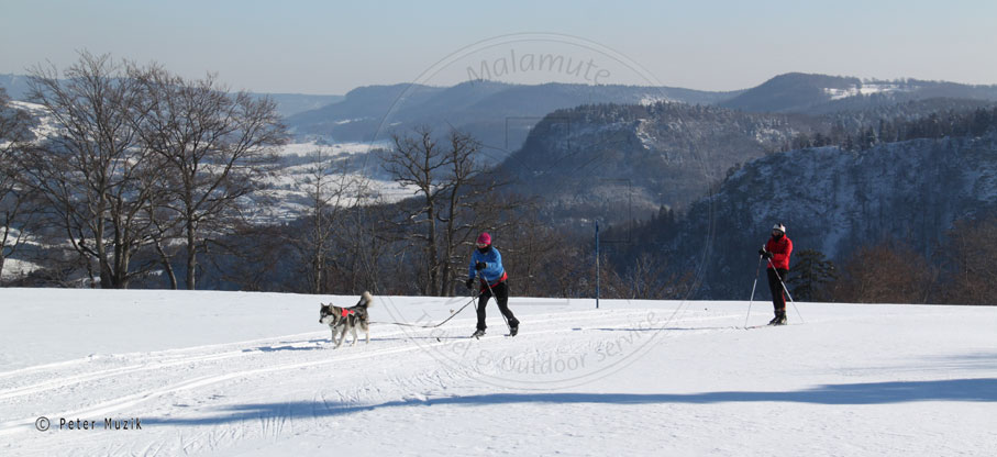 Loipe-Tieringen-Hörnle.jpg